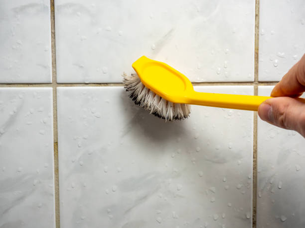 Best Fast Mold Removal  in Newport, AR