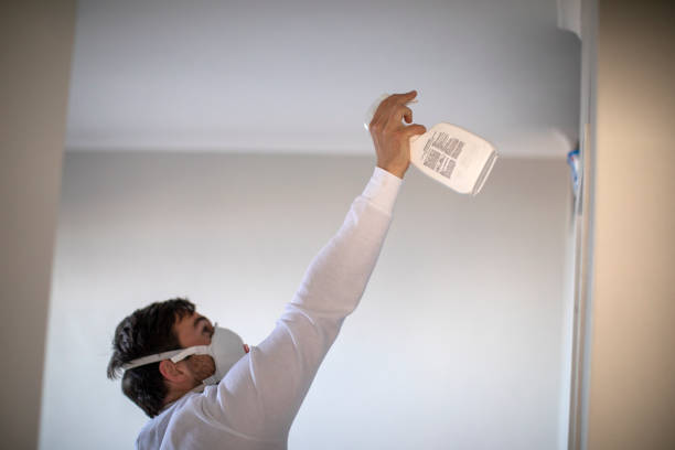 Best Office Mold Removal Services  in Newport, AR