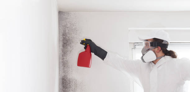 Best Professional Mold Removal  in Newport, AR